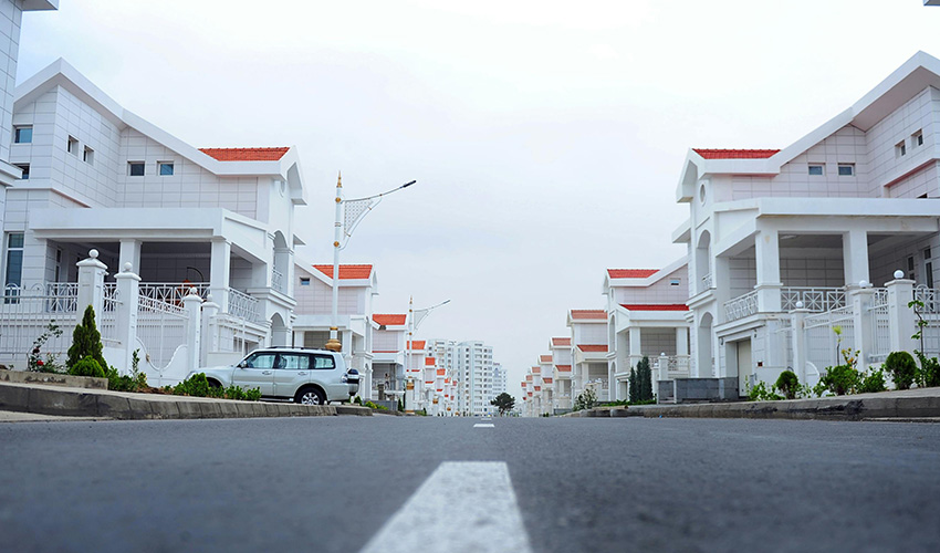 Real Estate & Project Management